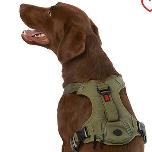 Kong Reflective Waste Bag Dog Harness